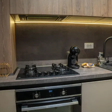 Carpatilor Studio 19 79 Apartment *