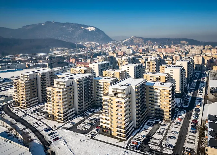 Carpatilor Studio 19 79 Apartamento *