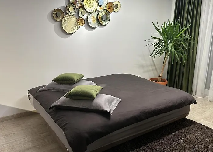 Carpatilor Studio 19 79 Braşov