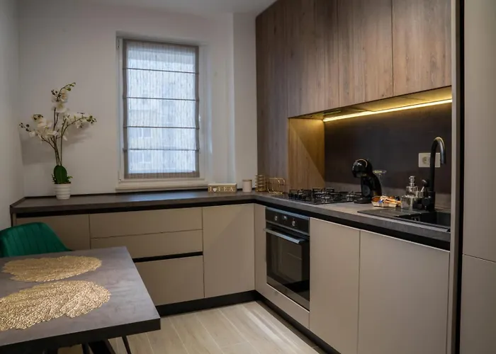 Apartamento Carpatilor Studio 19 79 *