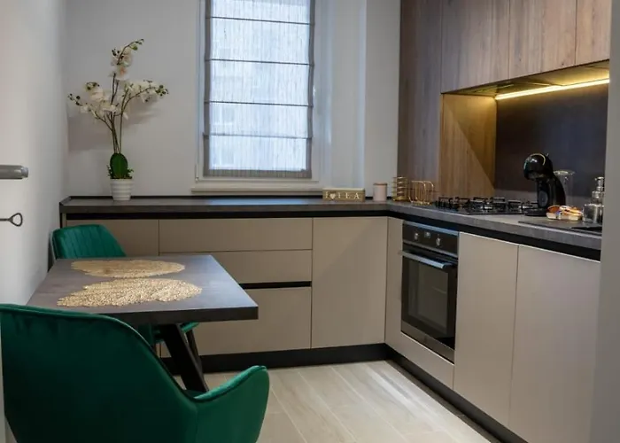 Apartamento Carpatilor Studio 19 79 *